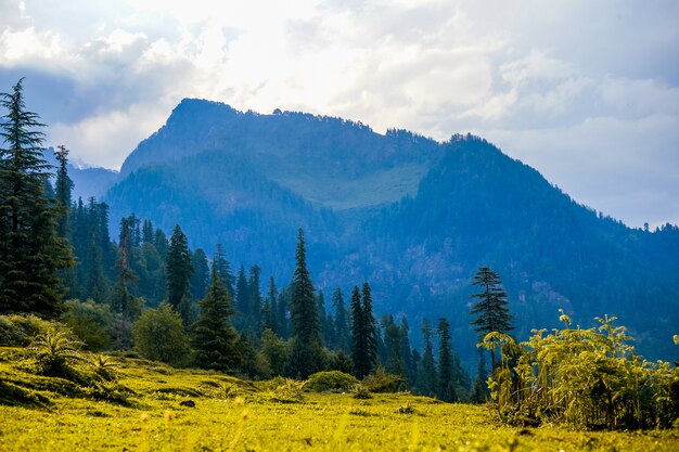 landscape-view-fields-manali-mountains-india_181624-30083